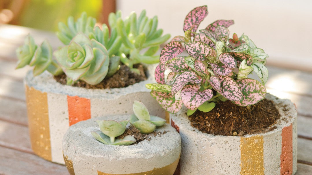 Spring Garden Projects That Refresh the Landscape