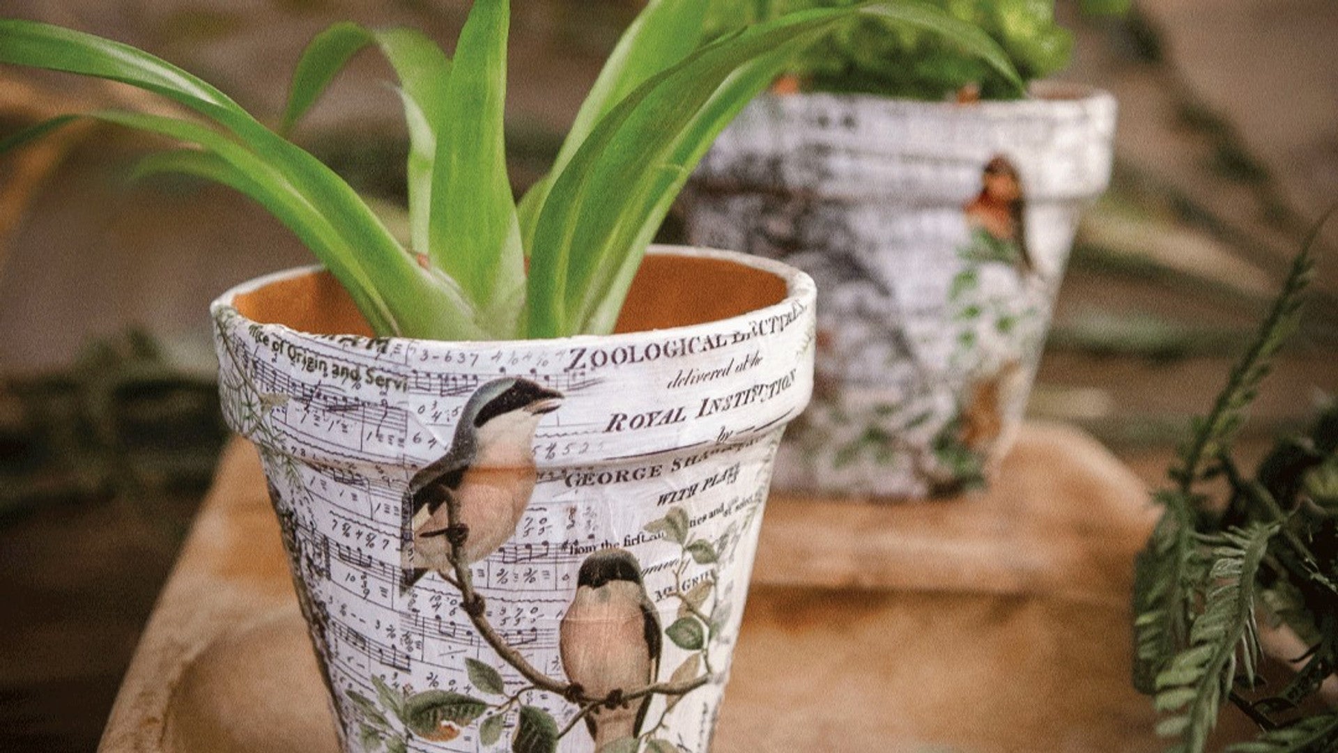 Creative DIY Planters for Your Home & Garden - Stampington & Company