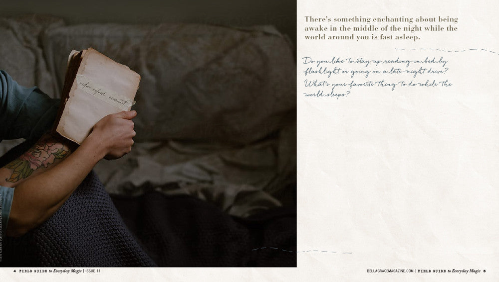 Field Guide to Everyday Magic Issue 11