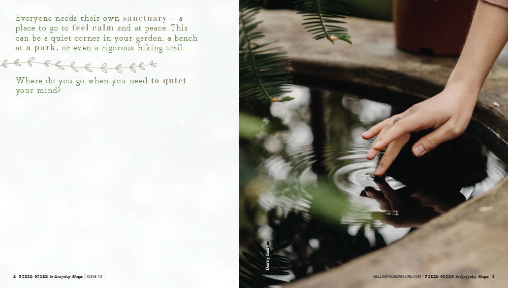 Field Guide to Everyday Magic Issue 13