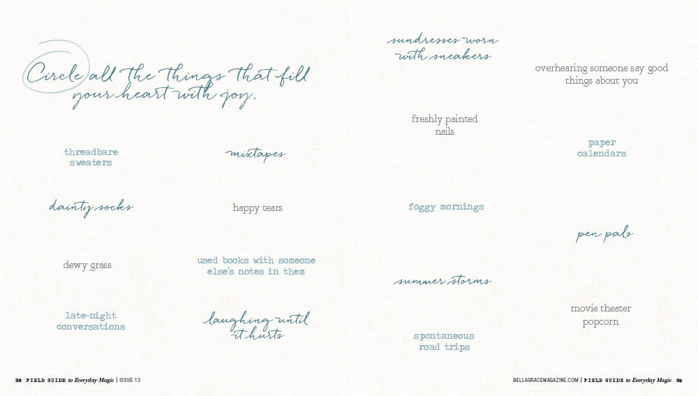 Field Guide to Everyday Magic Issue 13