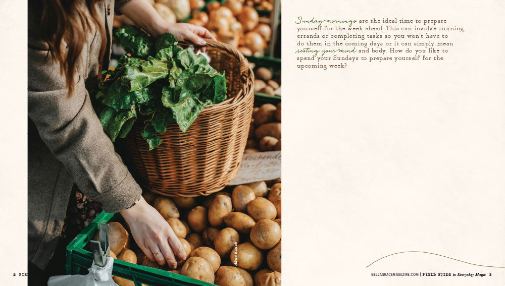 Field Guide to Everyday Magic Issue 15 Instant Download