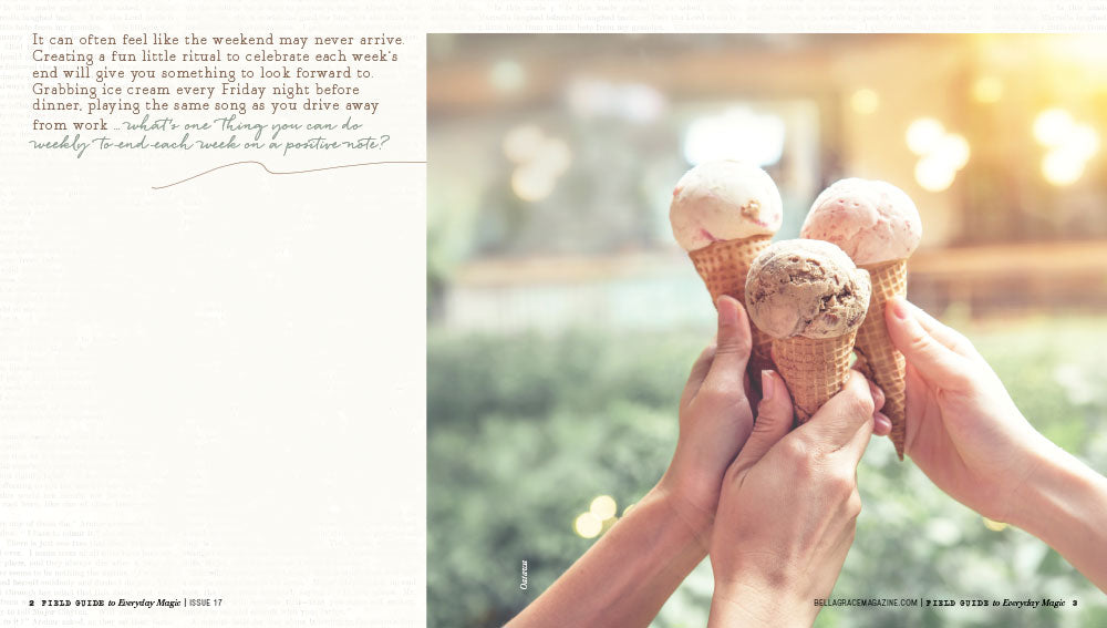Field Guide to Everyday Magic Issue 17 Instant Download