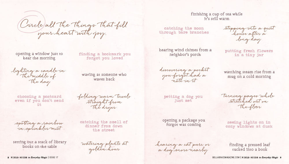 Field Guide to Everyday Magic Issue 17 Instant Download