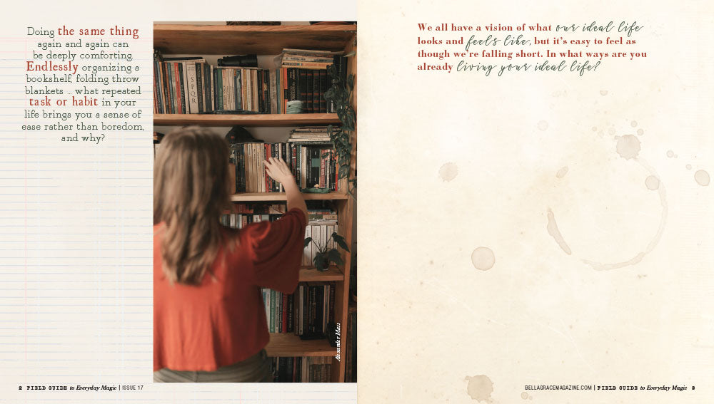 Field Guide to Everyday Magic Issue 17 Instant Download