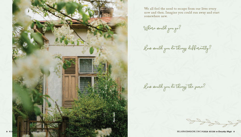 Field Guide to Everyday Magic Issue 17 Instant Download