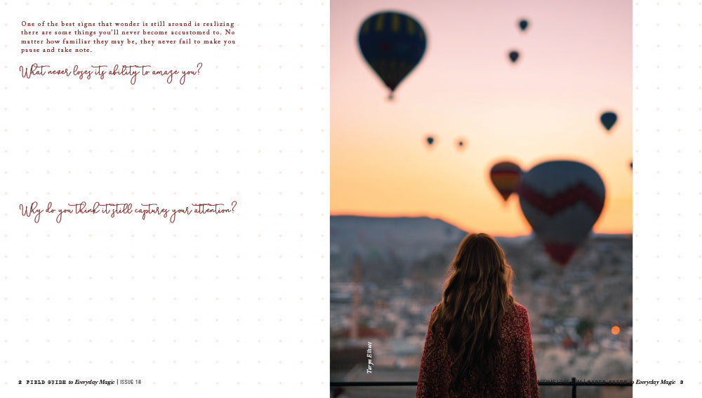 Field Guide to Everyday Magic Issue 18 – Coming October 1st