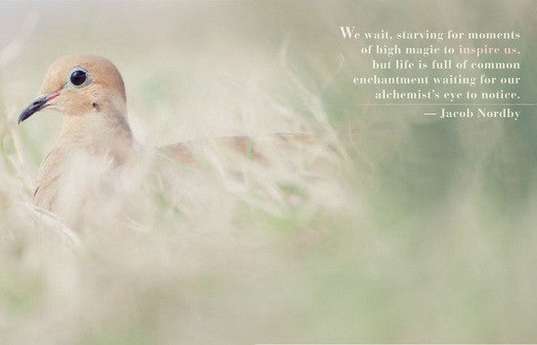 Bella Grace Issue 2 — Digital Only