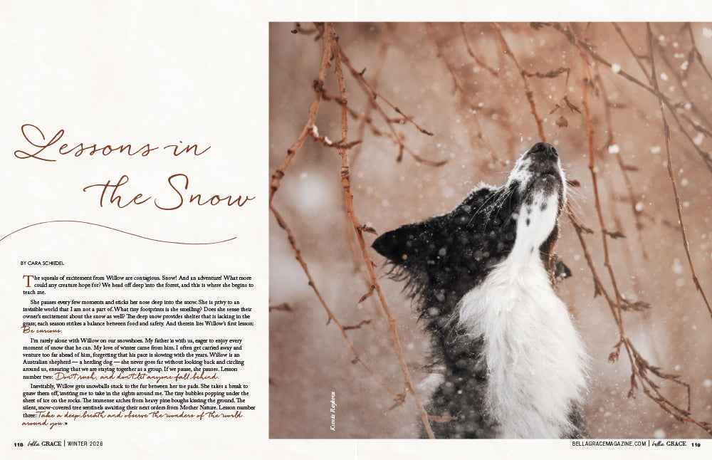Bella Grace Issue 46 – Coming December 1st