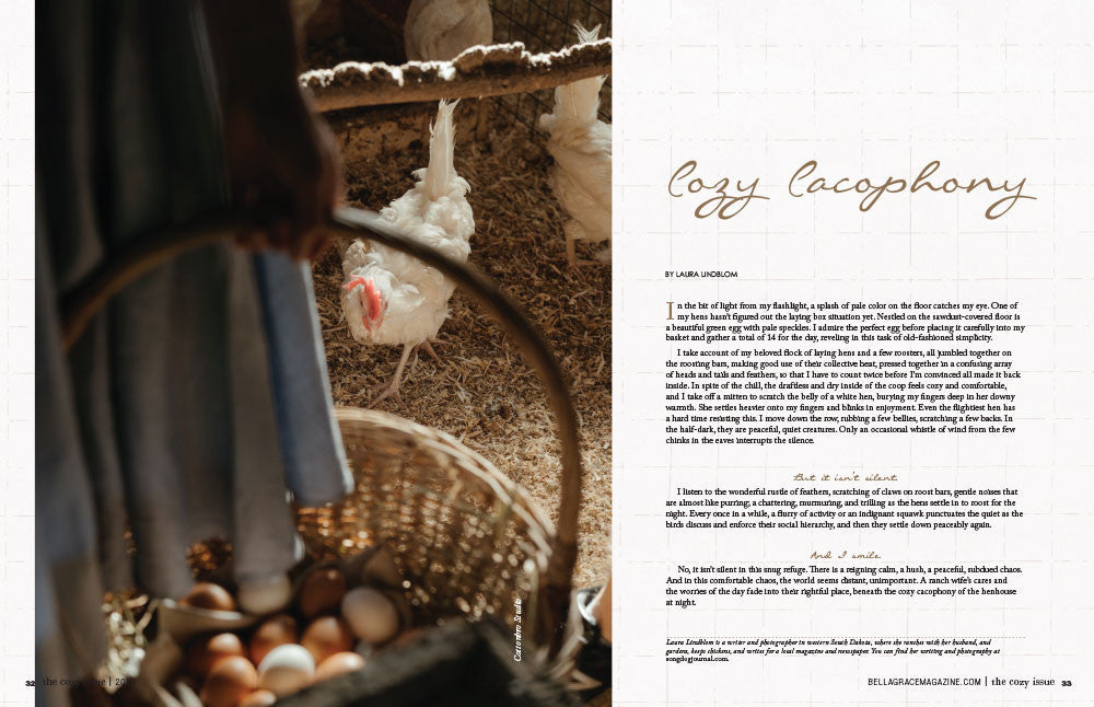 The Cozy Issue Volume 6