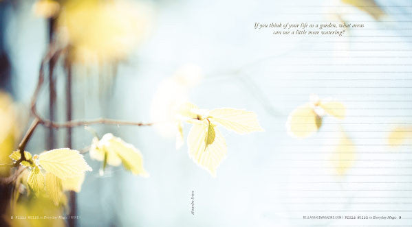 Field Guide to Everyday Magic Premier Issue Instant Download