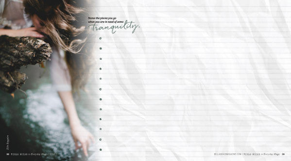 Field Guide to Everyday Magic Premier Issue Instant Download