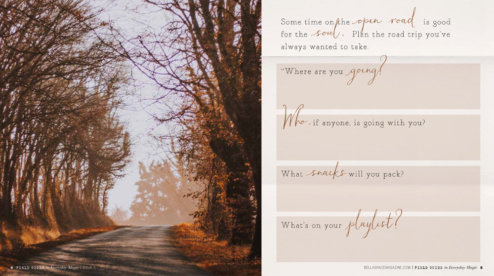 Field Guide to Everyday Magic Issue 6 Instant Download