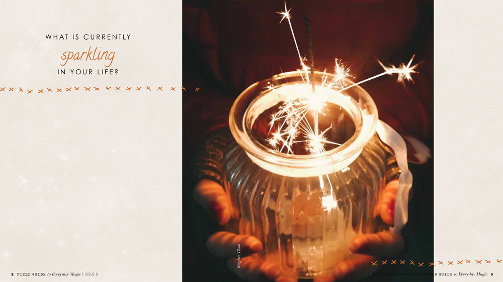 Field Guide to Everyday Magic Issue 6 Instant Download