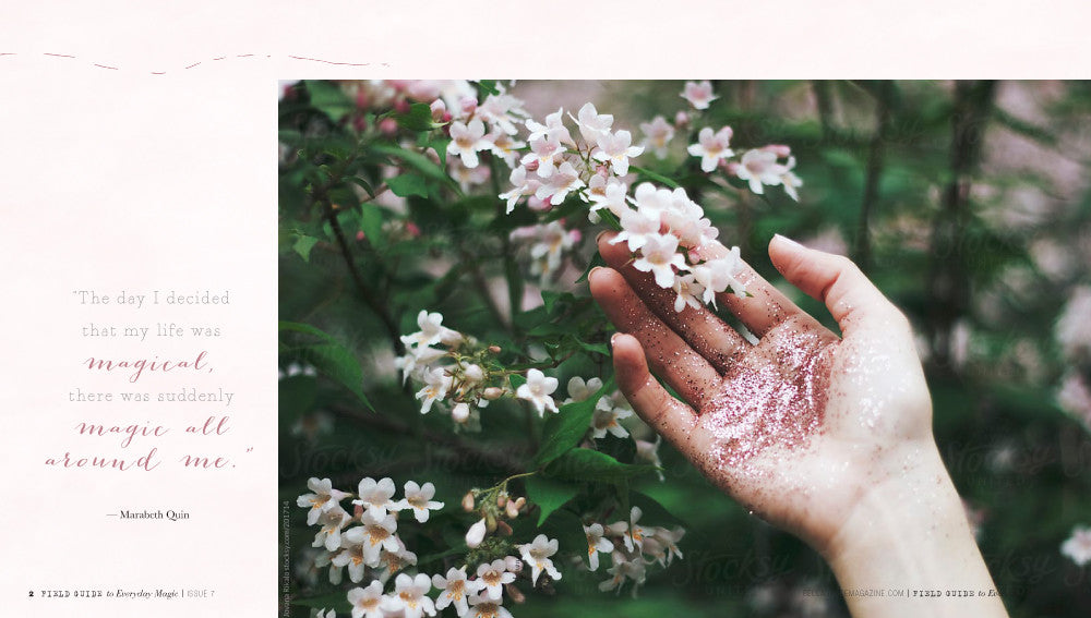 Field Guide to Everyday Magic Issue 7 Instant Download