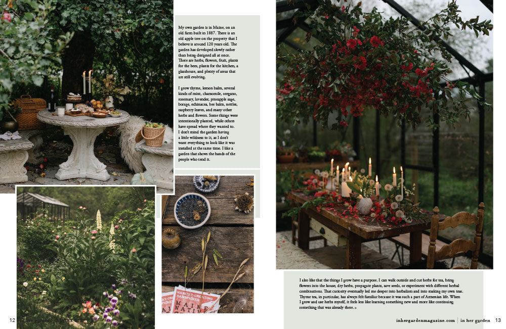 In Her Garden Winter 2027 – Coming December 1st