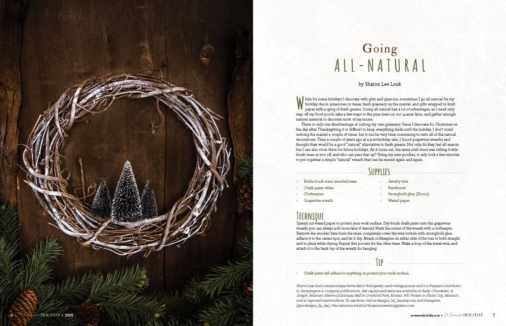 A Somerset Holiday Volume 17