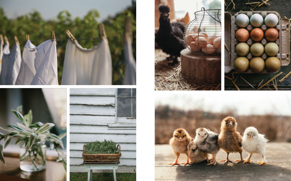 Vision Boards: A Beautiful Life Imagined Issue 1 – Coming October 1st