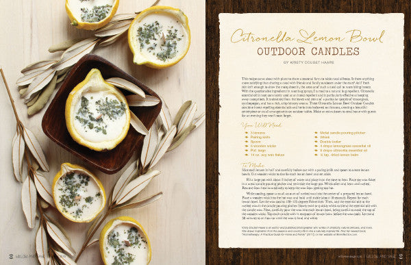 Willow and Sage Spring 2018 — Digital Only