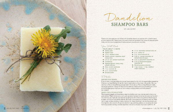 Willow and Sage Subscription