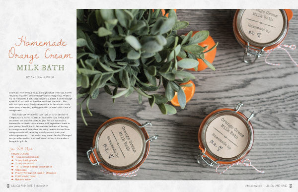 Willow and Sage Spring 2019
