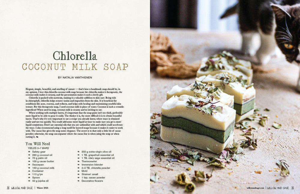 Willow and Sage Winter 2026 Instant Download