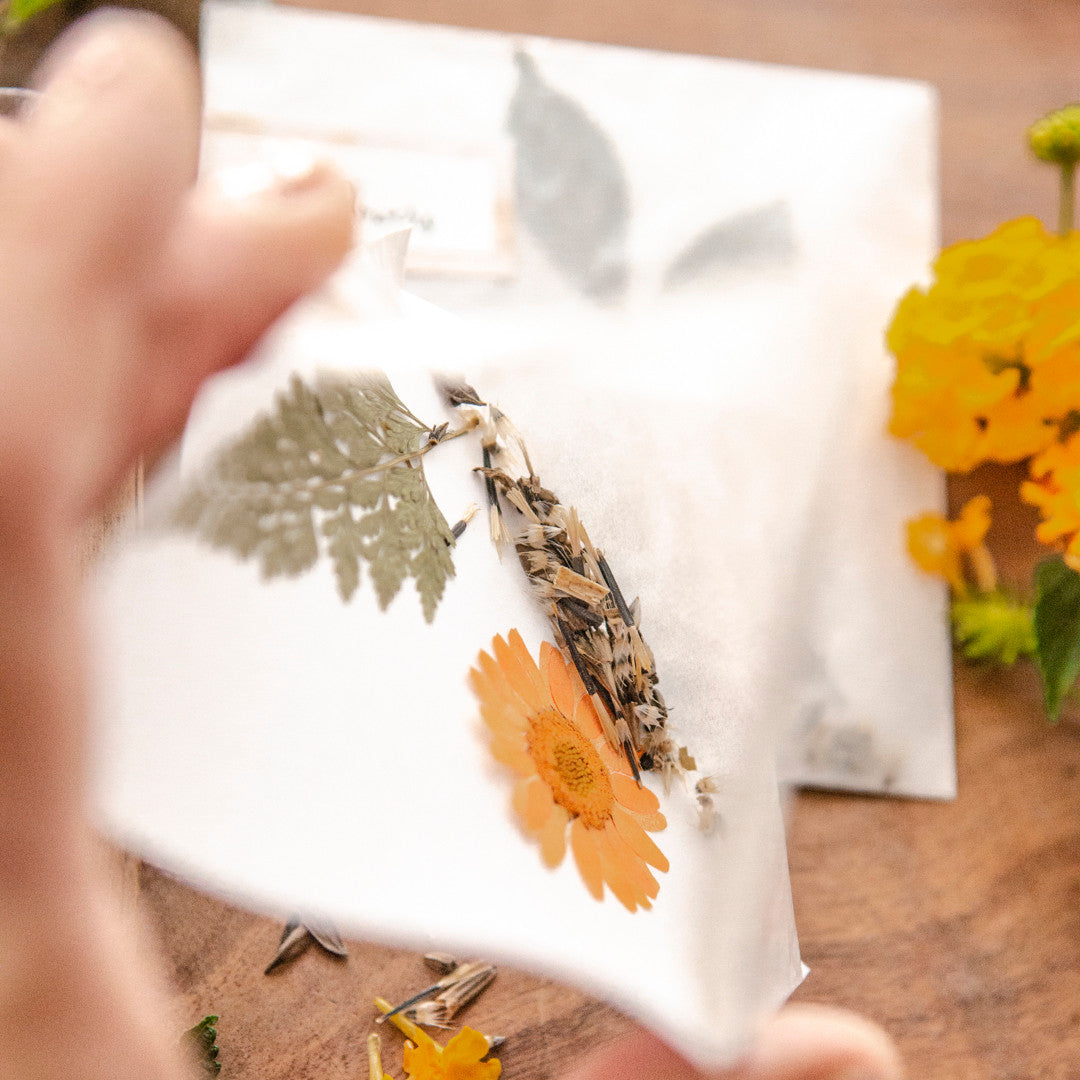 The Gift of a Green Thumb: Wildflower Seed Packets