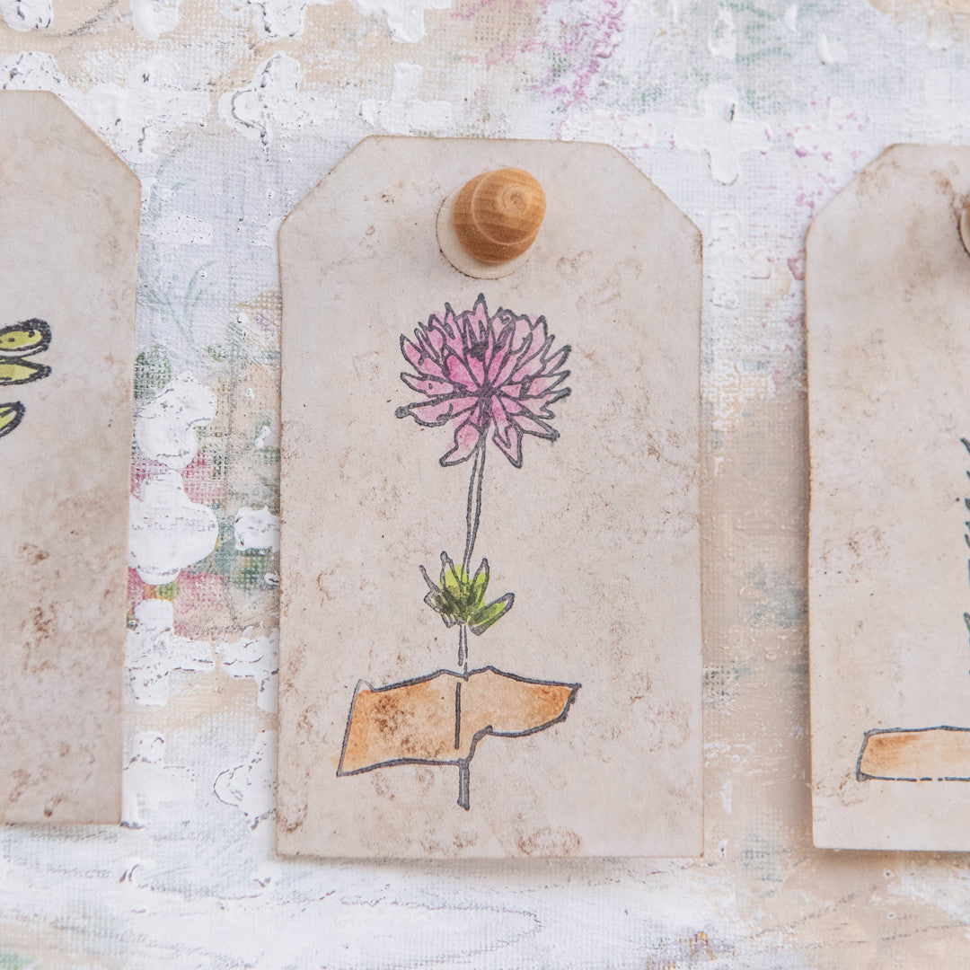 DIY Forgotten Garden Specimen Board Project