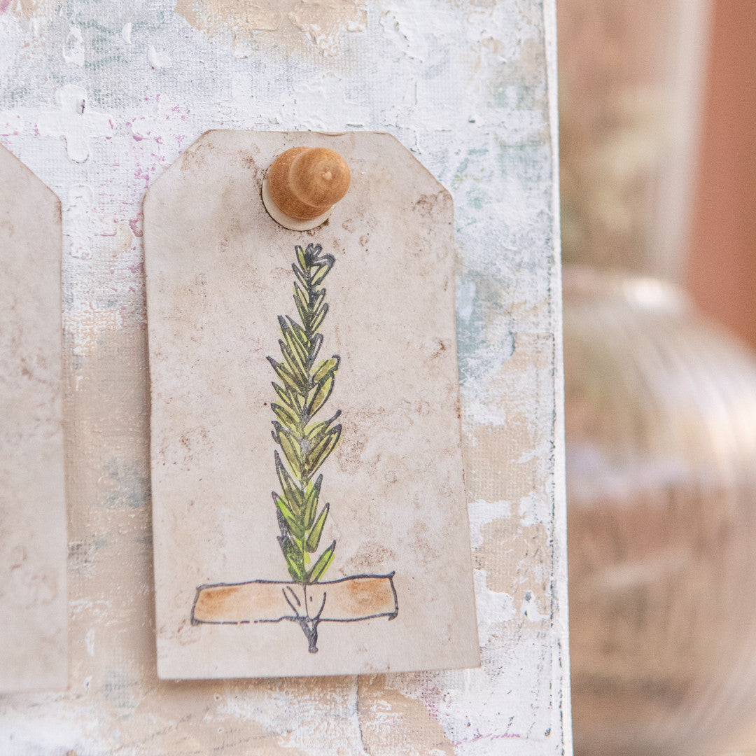 DIY Forgotten Garden Specimen Board Project
