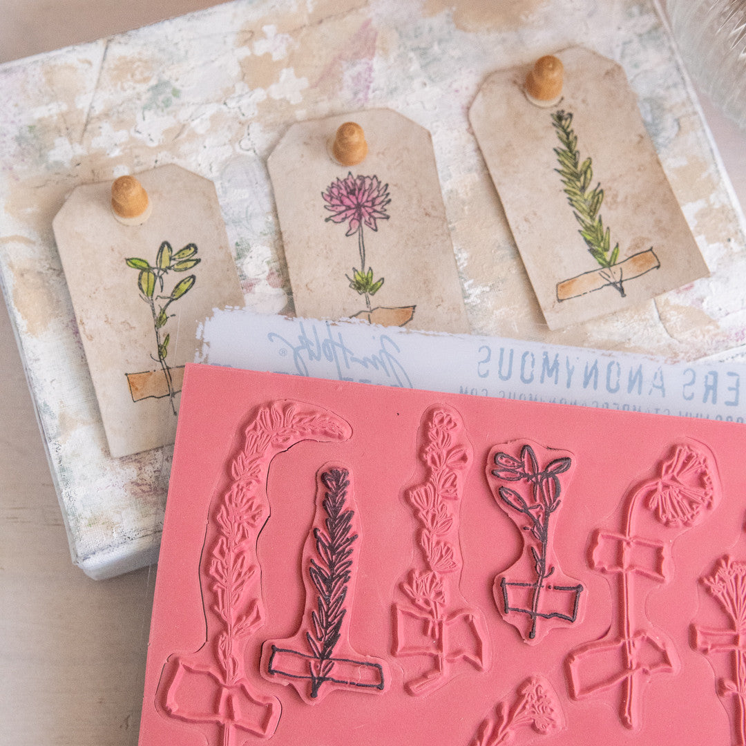 DIY Forgotten Garden Specimen Board Project