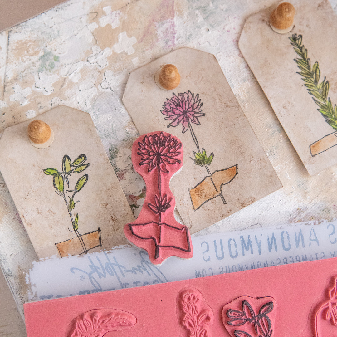 DIY Forgotten Garden Specimen Board Project