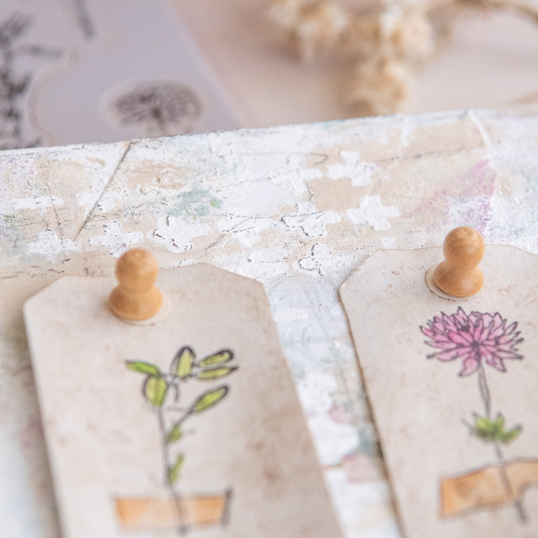 DIY Forgotten Garden Specimen Board Project