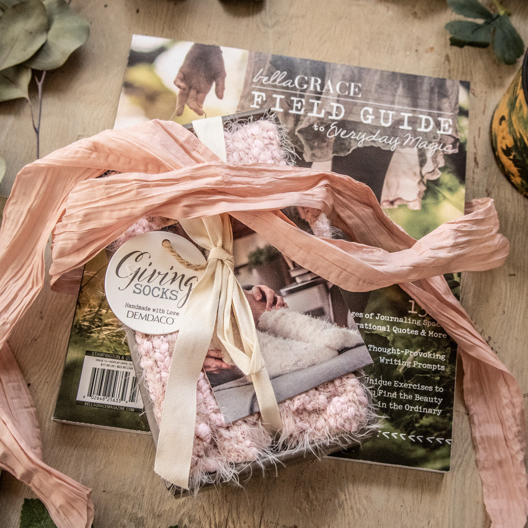 Field Guide to Cozy Gift Bundle