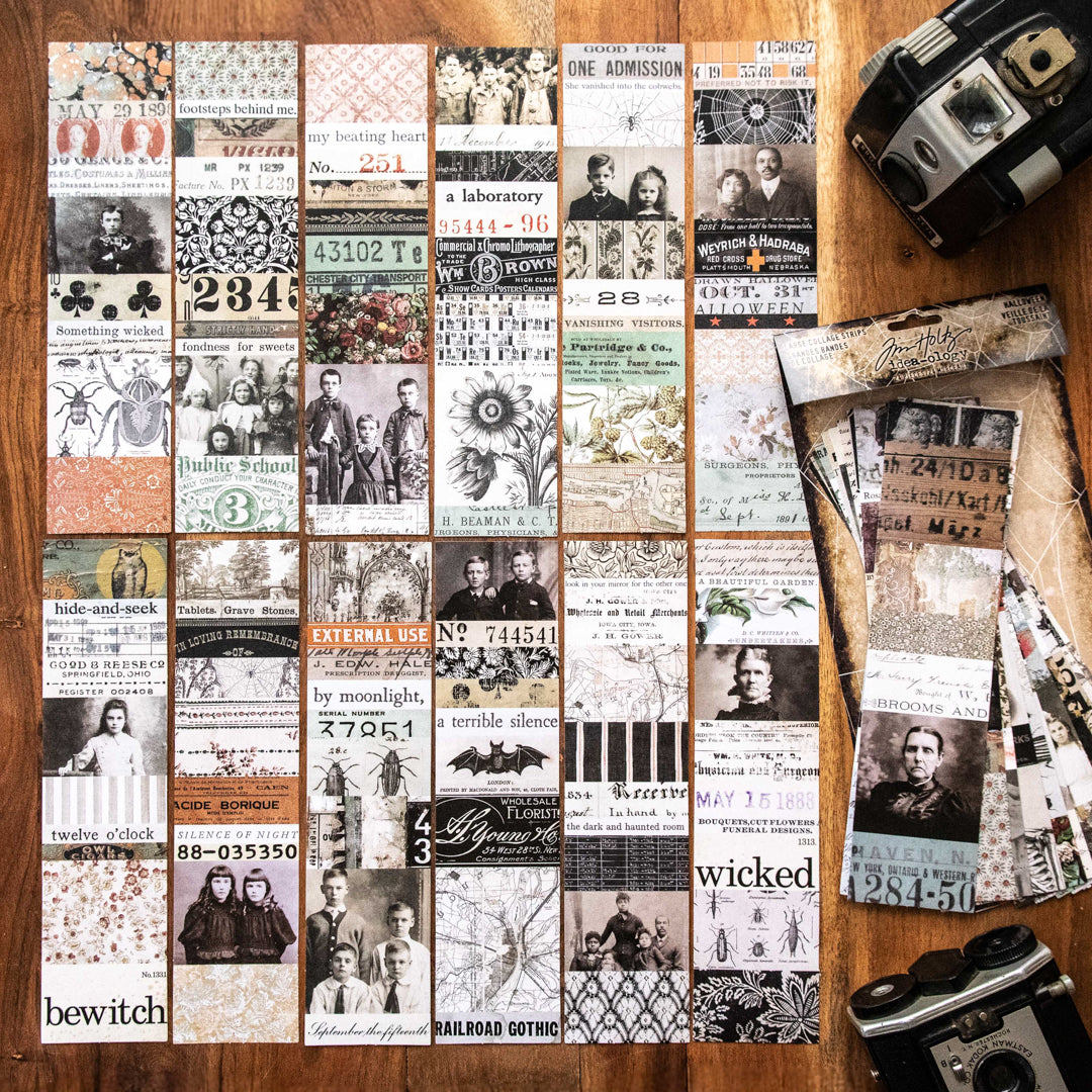 Tim Holtz Idea-ology Large Collage Strips Halloween