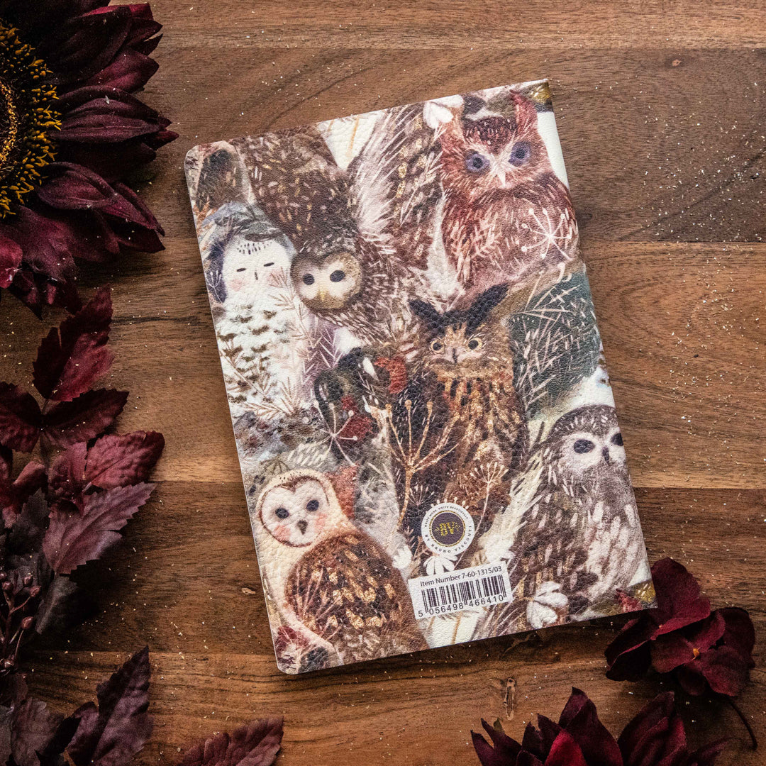 Bruno Visconti Owls Notebook