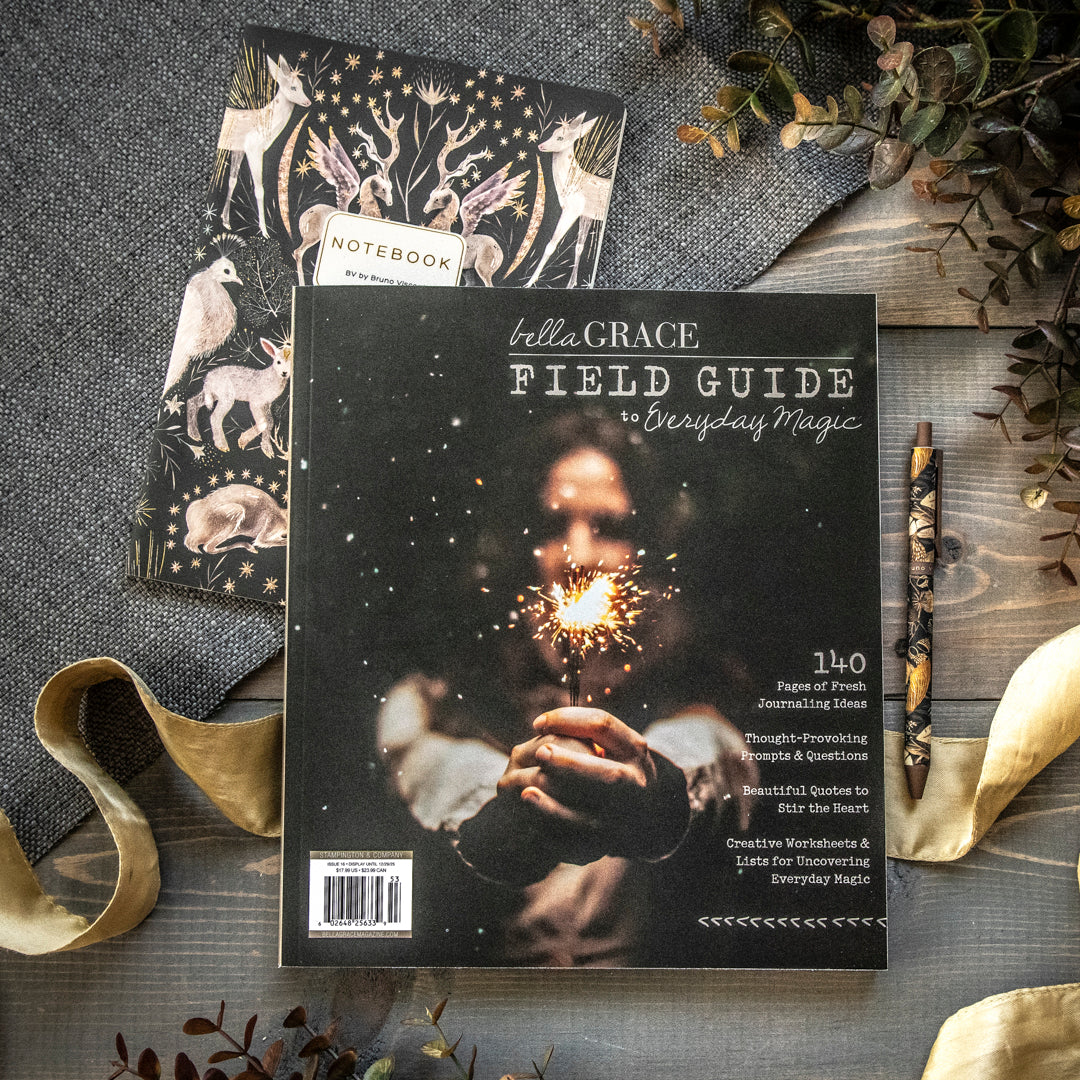 Night Forest Field Guide Bundle