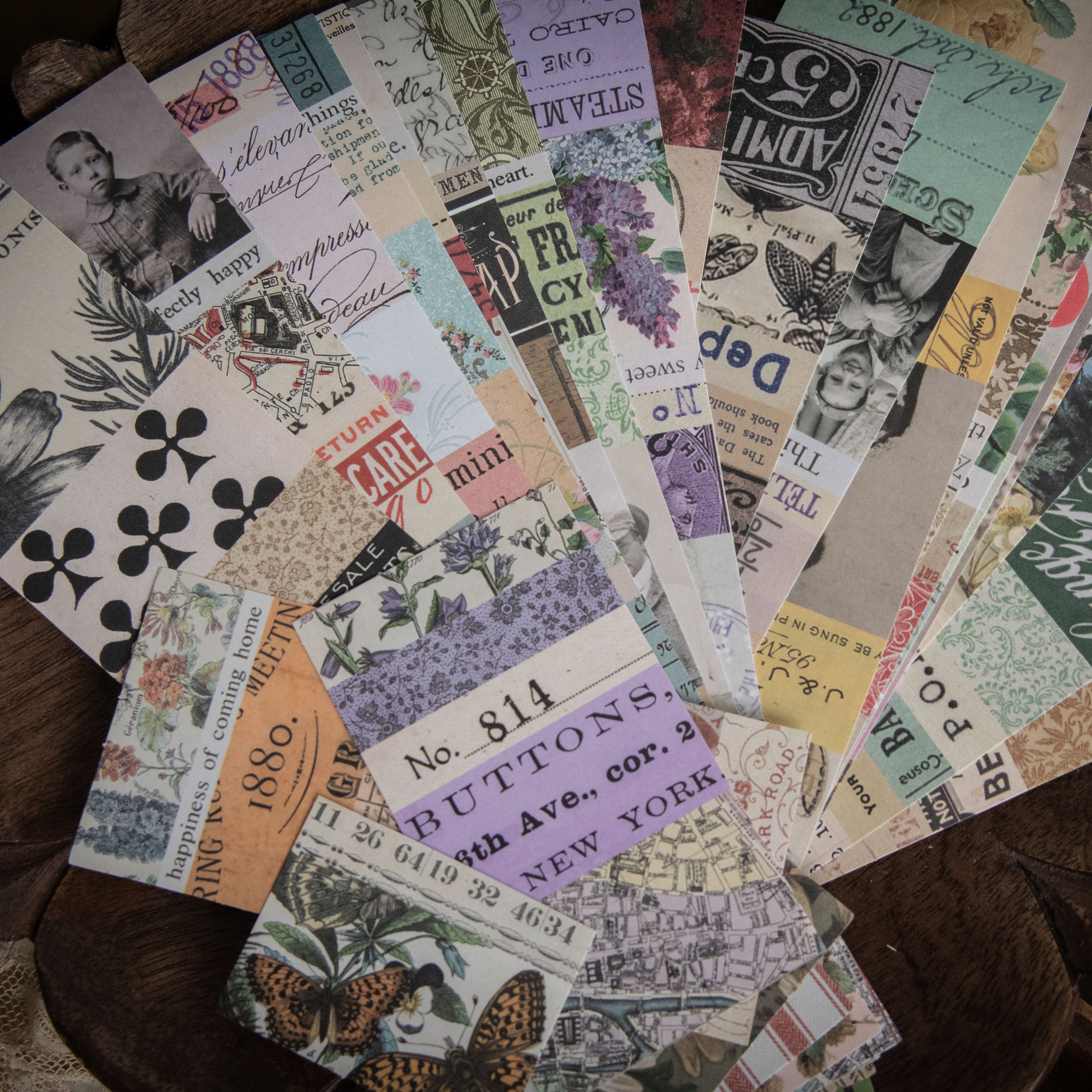 Cardboard, Reimagined