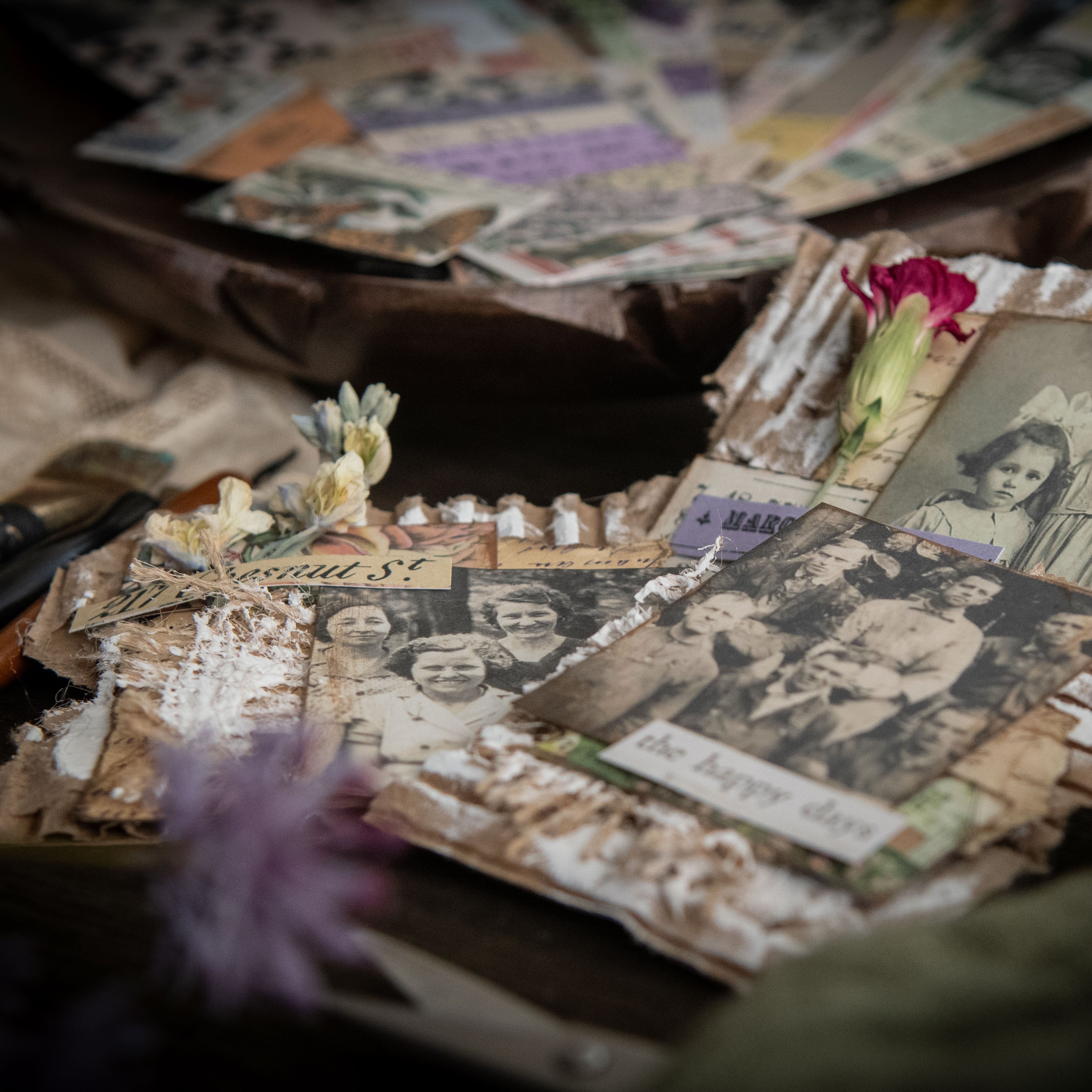 Cardboard, Reimagined