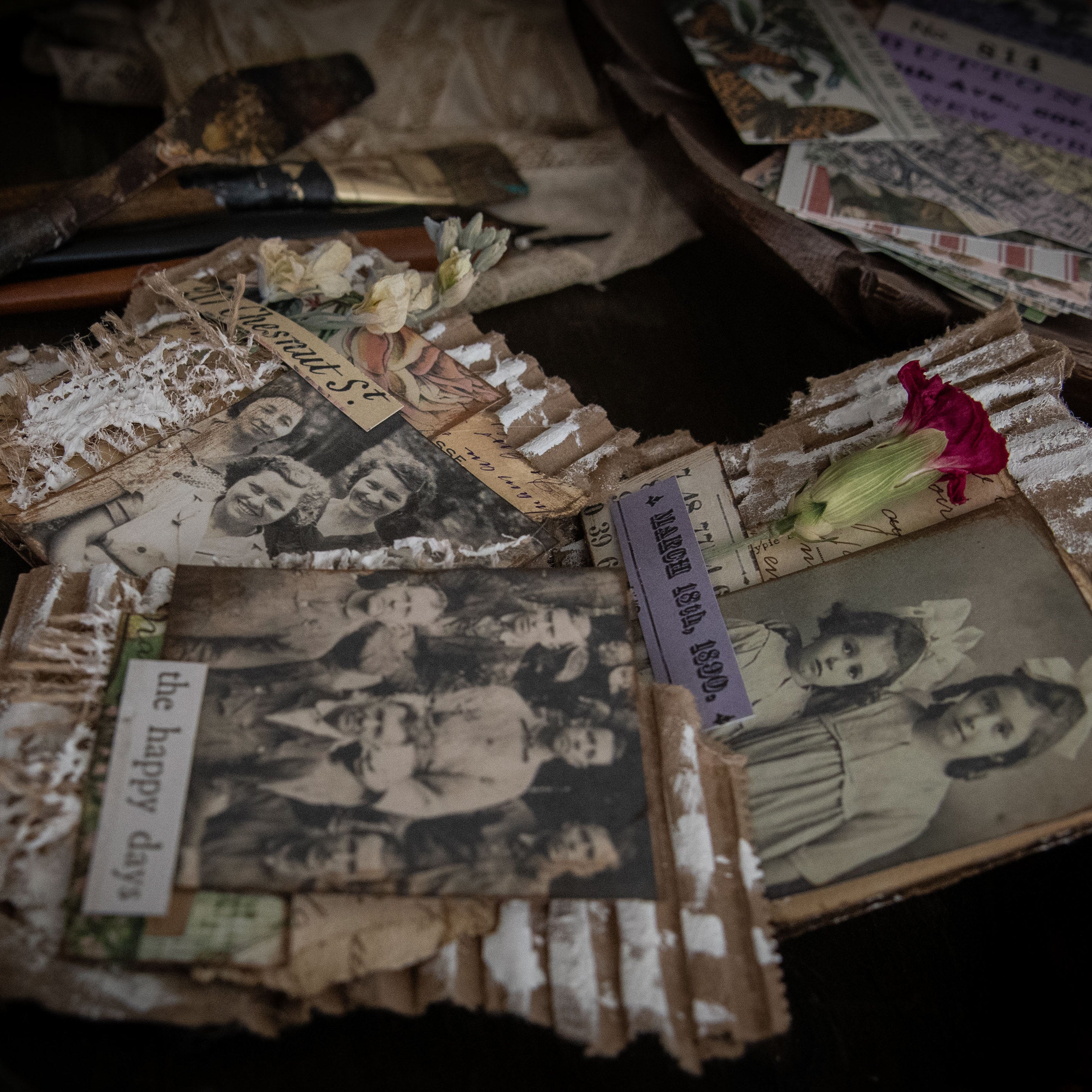 Cardboard, Reimagined