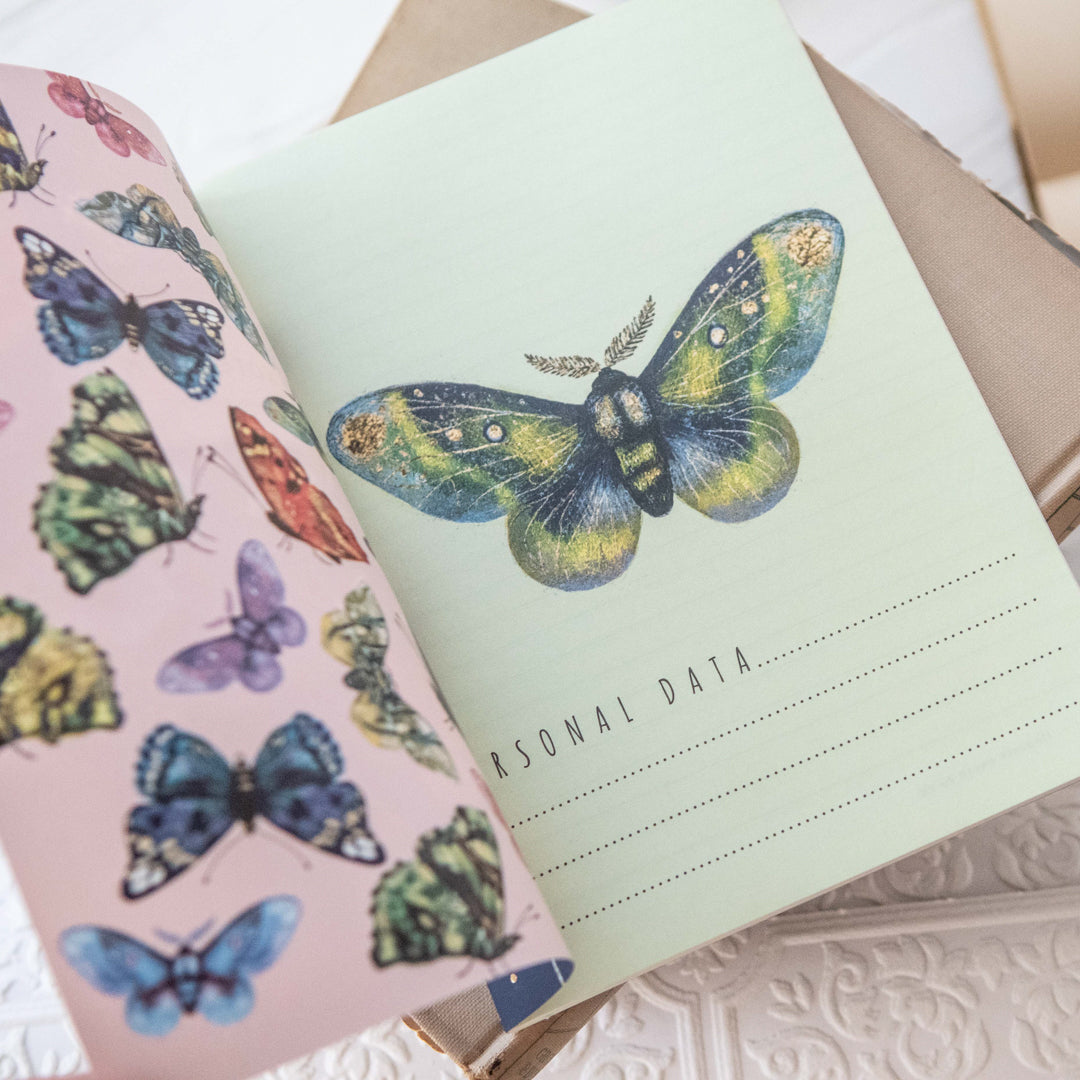 Bruno Visconti Butterflies on Blue Notebook