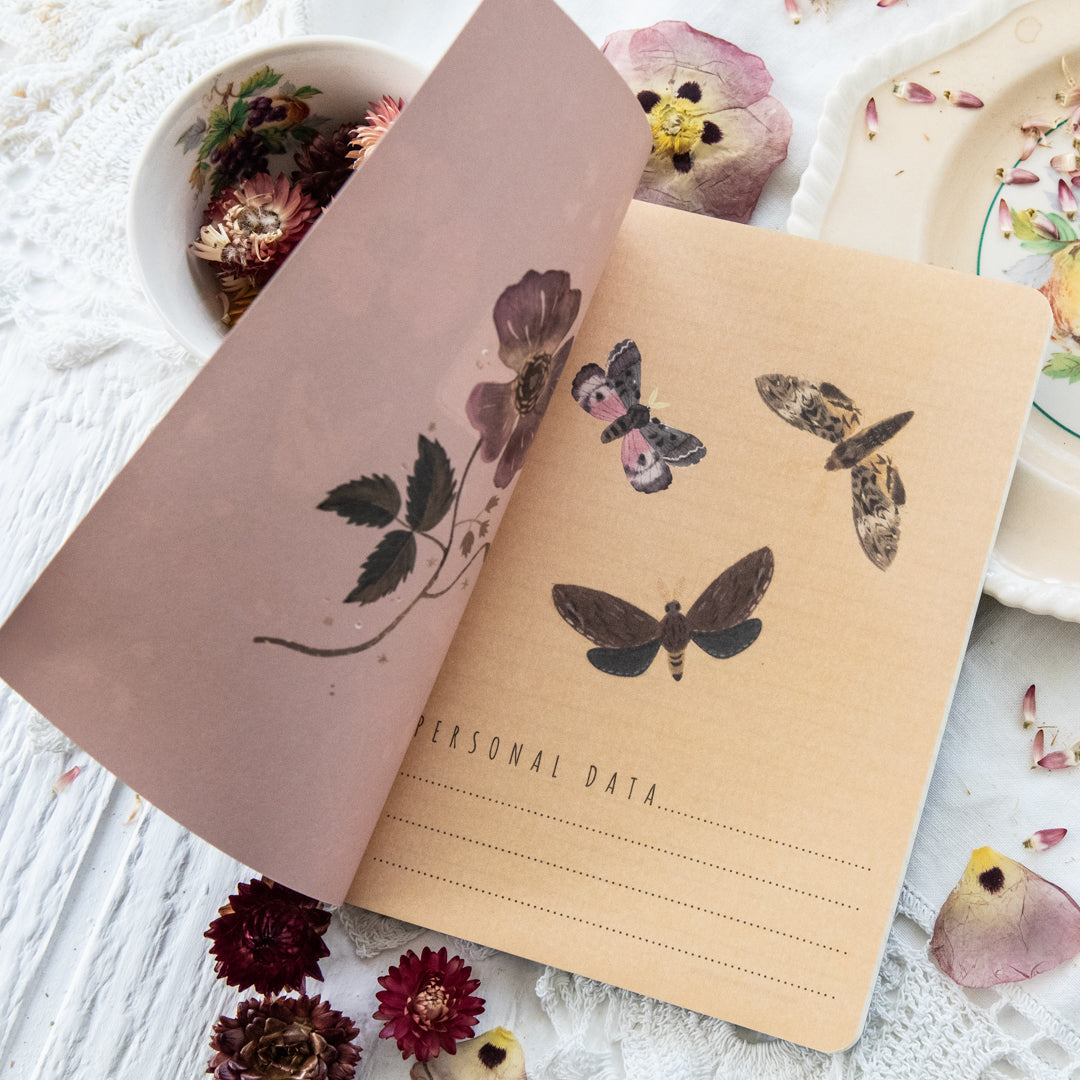 Bruno Visconti Butterflies and Night Flowers Notebook