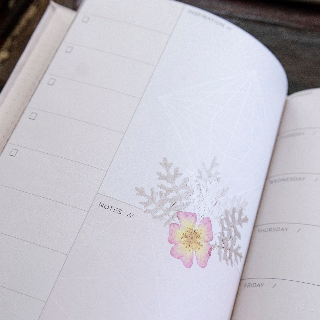 Gratitude Dateless Planner by Papaya Art