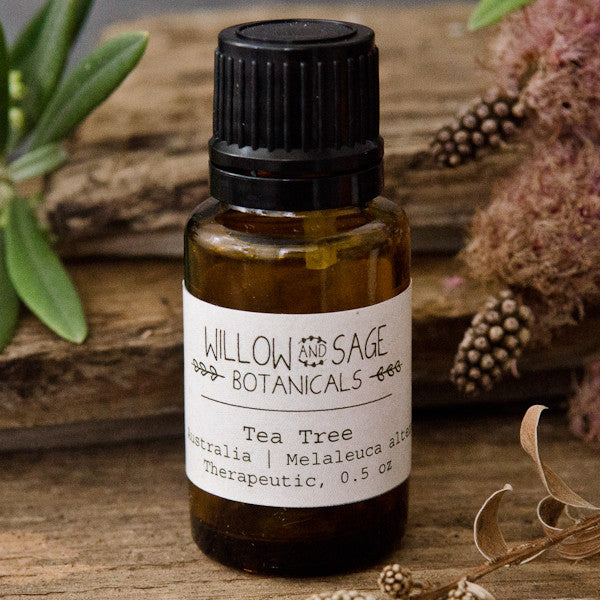 Tea Tree Essential Oil by Willow and Sage Botanicals, 0.5 oz.