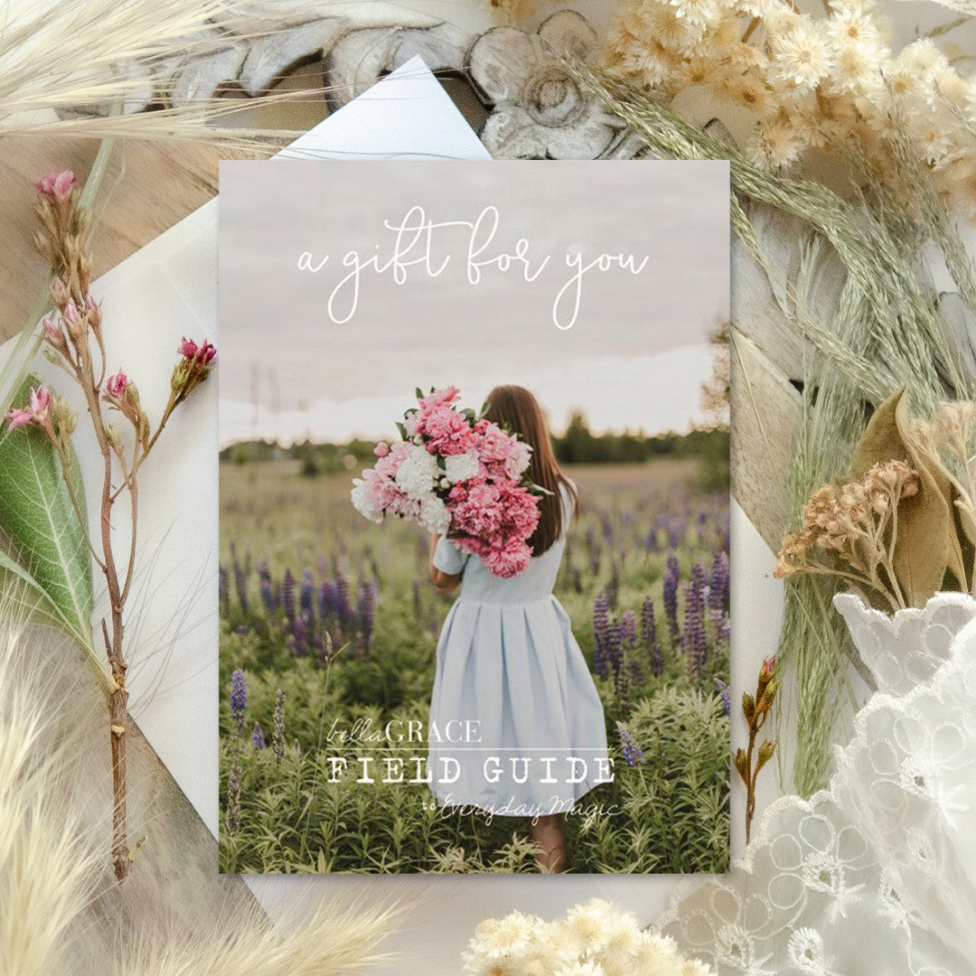 Field Guide to Everyday Magic Subscription