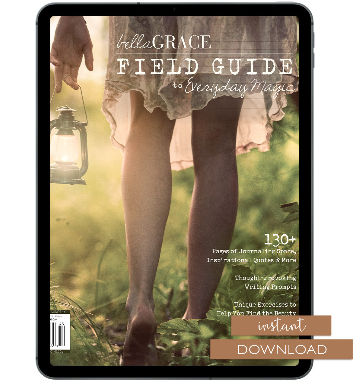 Field Guide to Everyday Magic Issue 14 Instant Download