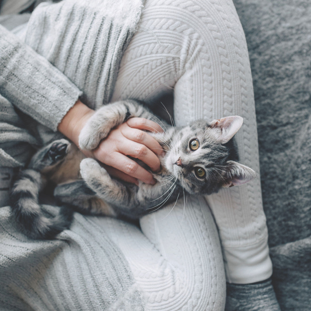 Bella Grace + Cozy Subscription