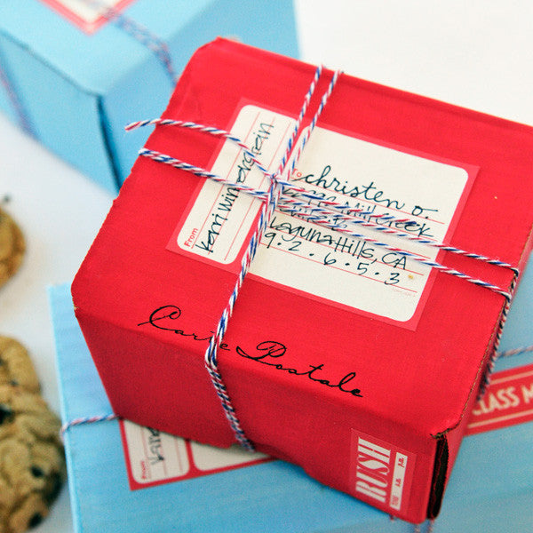 You've Got Air Mail Project