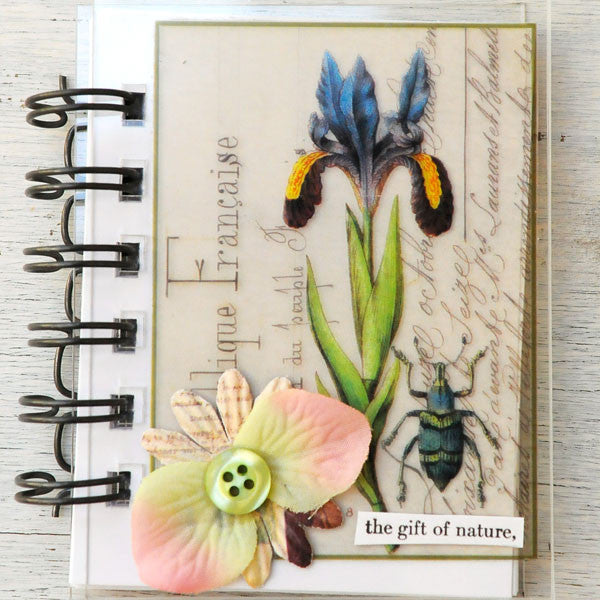 Nature Mini Books Project by Audrey Hernandez