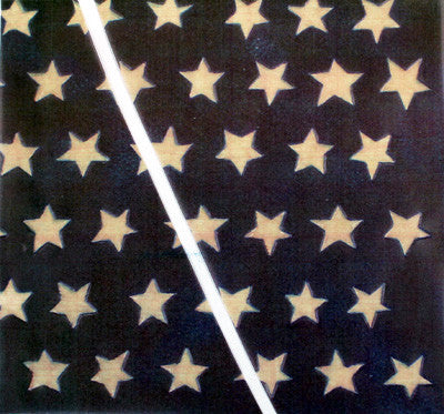 Ms. Liberty Project by Diane Michioka