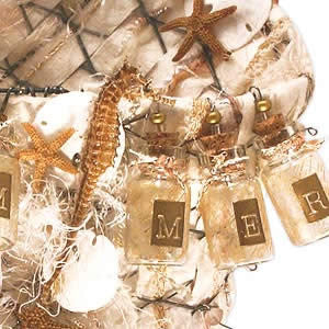 Shell Collection Project by Mona Gettmann